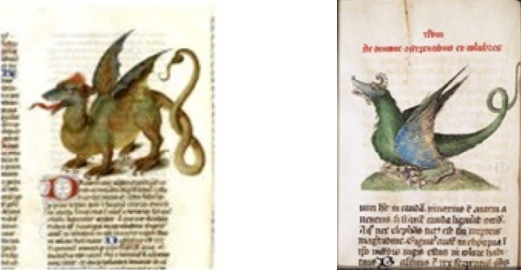 Figure 15 : Dragons